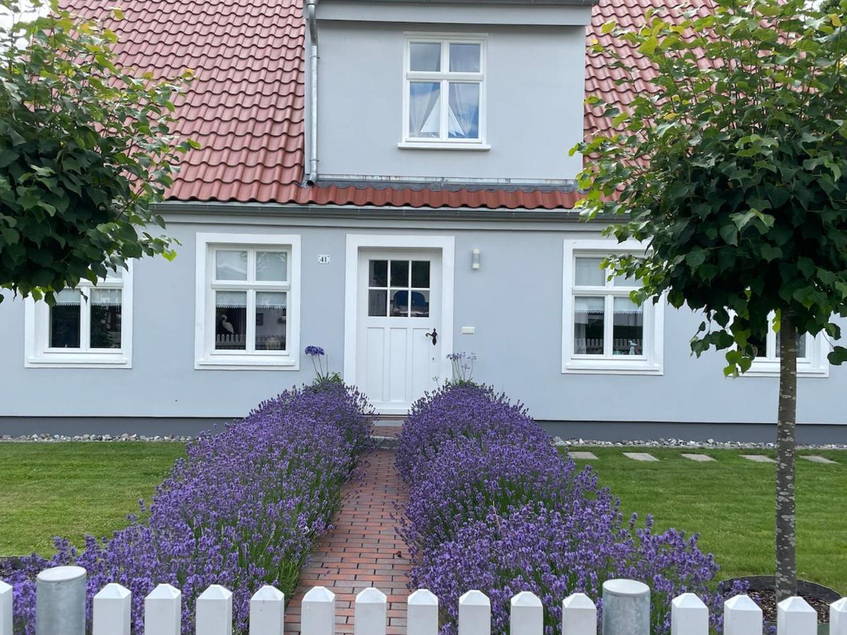 Haus Vicus Appartement Greifswald Buitenkant foto